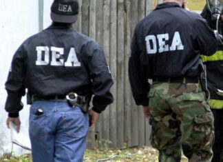 Cárteles Mexicanos y Mafia China unen fuerzas para Lavar Dinero