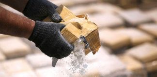 España desmantela red que enviaba MDMA oculto en amortiguadores y rascadores para gatos hacia Venezuela, Chile y Australia