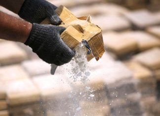 España desmantela red que enviaba MDMA oculto en amortiguadores y rascadores para gatos hacia Venezuela, Chile y Australia