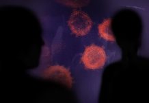 Estafadores, hackers y bulos: los que intentan hacer el agosto con el coronavirus