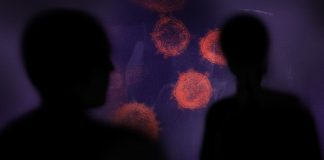 Estafadores, hackers y bulos: los que intentan hacer el agosto con el coronavirus