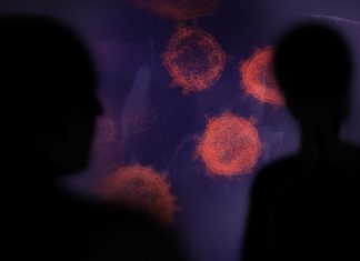 Estafadores, hackers y bulos: los que intentan hacer el agosto con el coronavirus