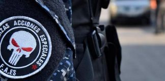 Detenidas 11 personas presuntamente vinculadas al narcotráfico en Punto Fijo