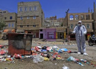 Las inesperadas consecuencias ambientales del coronavirus