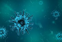 Programa de cumplimiento COVID-19: Sobreprecio de equipos médicos