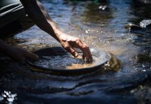 Maduro impulsa la fiebre del oro en el Arco Minero ante el colapso de PDVSA
