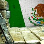 México| El crimen organizado durante la pandemia