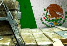 México| El crimen organizado durante la pandemia