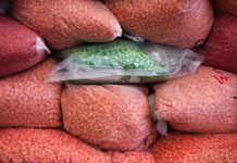 El tráfico de drogas en la región Asia-Pacífico prospera en medio de la pandemia