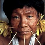 Fiebre del oro amenaza a la última gran tribu aislada en el Amazonas entre Brasil y Venezuela