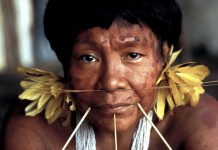 Fiebre del oro amenaza a la última gran tribu aislada en el Amazonas entre Brasil y Venezuela
