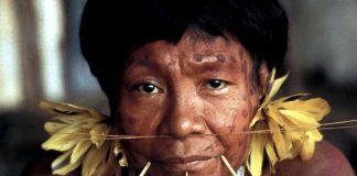 Fiebre del oro amenaza a la última gran tribu aislada en el Amazonas entre Brasil y Venezuela
