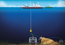 Estudio| La minería marina, la industria del futuro que dañará los ecosistemas