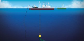 Estudio| La minería marina, la industria del futuro que dañará los ecosistemas