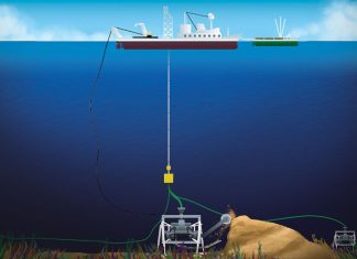 Estudio| La minería marina, la industria del futuro que dañará los ecosistemas