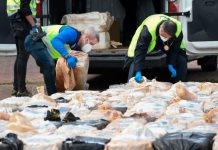 Informe Mundial sobre la cocaína 2023 revela aumento récord en la producción y consumo