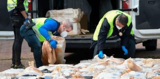 Informe Mundial sobre la cocaína 2023 revela aumento récord en la producción y consumo