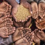 La pandemia de hambre amenaza a Latinoamérica y el Caribe