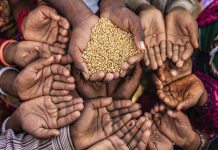 La pandemia de hambre amenaza a Latinoamérica y el Caribe