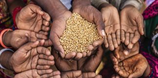 La pandemia de hambre amenaza a Latinoamérica y el Caribe