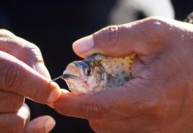 A pesar de la pandemia, la pesca ilegal no se detiene