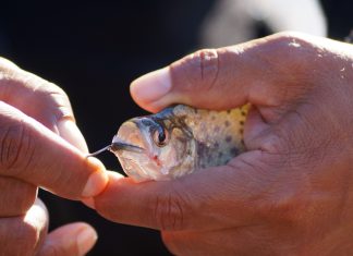 A pesar de la pandemia, la pesca ilegal no se detiene