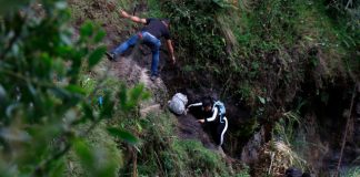 El tapón del Darién: Cómo la delincuencia organizada saboteó el control fronterizo