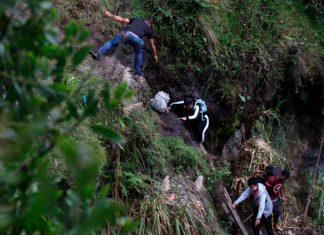 El tapón del Darién: Cómo la delincuencia organizada saboteó el control fronterizo