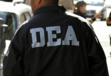 AP | El soplón que destapó los secretos de la DEA: Jorge Hernández y su conexión con Alex Saab