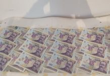 Capturan al presunto mayor falsificador de billetes de plástico del mundo en Rumanía