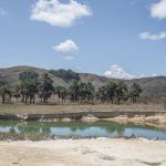 Minería ilegal de oro amenaza con destruir la Gran Sabana