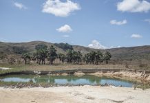 Minería ilegal de oro amenaza con destruir la Gran Sabana