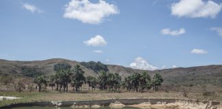 Minería ilegal de oro amenaza con destruir la Gran Sabana