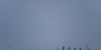 Tanqueros que viajaban a cargar crudo venezolano retroceden ante posibles sanciones