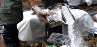 NarcoFiles: Desentrañando el nuevo orden criminal en América Latina