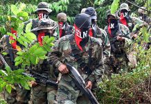 Sebastiana Barráez: Las revelaciones de dos comandantes de la FARC sobre el poder de la guerrilla y el narcotráfico en Venezuela