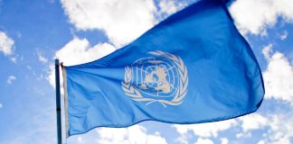 Expertos de la ONU proponen medidas contra el fraude y la ingeniería fiscal