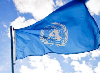 Crimen organizado y corrupción deportiva: alerta de la ONU sobre América Latina y el Caribe