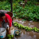 La crisis y el hambre ruralizan las ciudades de Venezuela