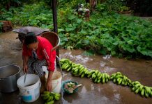 La crisis y el hambre ruralizan las ciudades de Venezuela