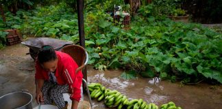 La crisis y el hambre ruralizan las ciudades de Venezuela