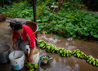 La crisis y el hambre ruralizan las ciudades de Venezuela