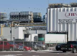 JBS, proveedora de carne brasileña del régimen, se declara culpable en EEUU por trama de sobornos