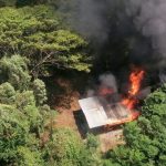 Destruyen 63 laboratorios de cocaína en el sur de Colombia