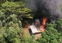 Destruyen 63 laboratorios de cocaína en el sur de Colombia