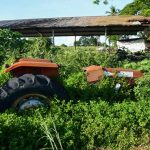 La Ruta del Hambre: Un recorrido por la inseguridad alimentaria en Venezuela