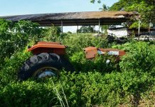 La Ruta del Hambre: Un recorrido por la inseguridad alimentaria en Venezuela