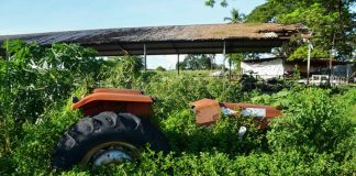 La Ruta del Hambre: Un recorrido por la inseguridad alimentaria en Venezuela