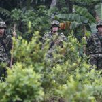 Especial| La cocaína universal