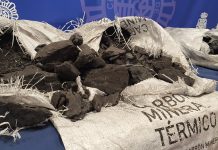 España y Portugal incautan 862 kg de cocaína oculta en carbón vegetal procedente de Latinoamérica